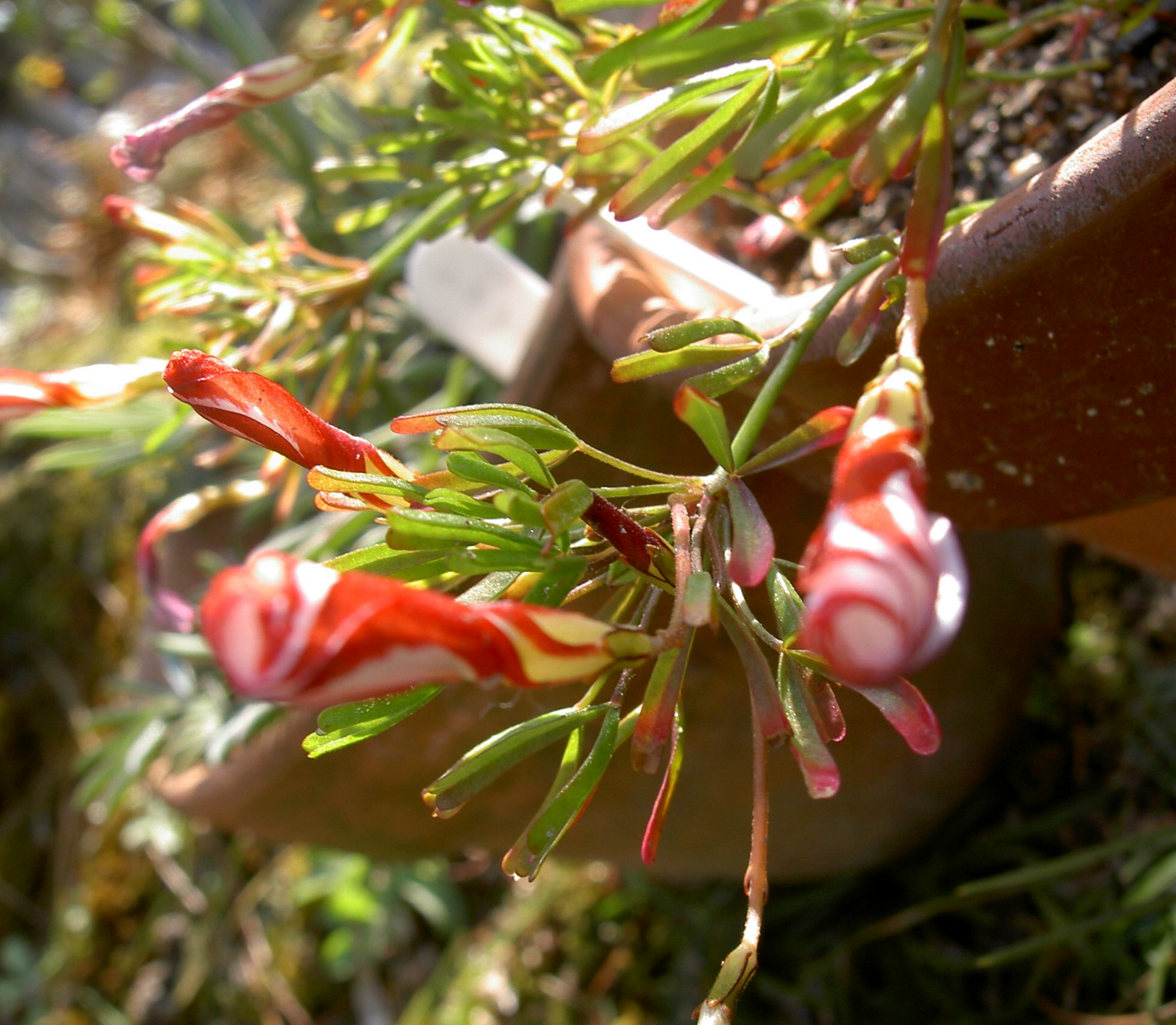 c0113883_22522935.jpg