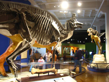 f0068883_1715122.jpg