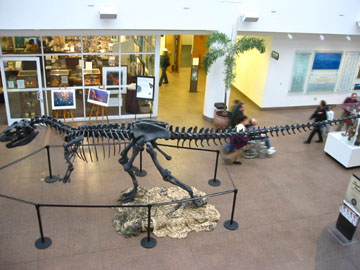 f0068883_1722340.jpg