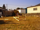 c0066687_736694.jpg
