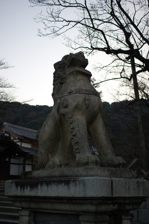 e0051888_6585347.jpg