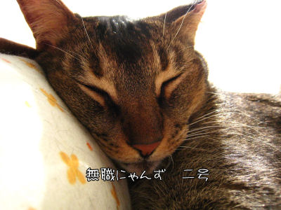 a0045990_003982.jpg