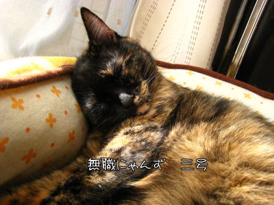 a0045990_01693.jpg