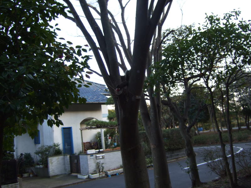 c0104492_23252965.jpg