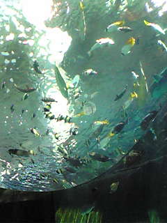 d0070393_2153303.jpg