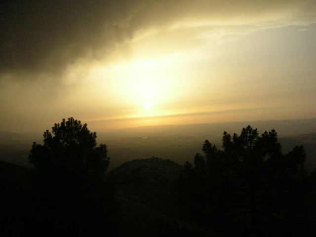 e0061699_14322430.jpg