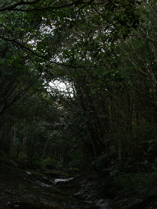 e0089001_21314095.jpg
