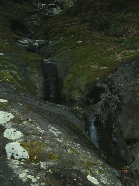 e0089001_21335372.jpg