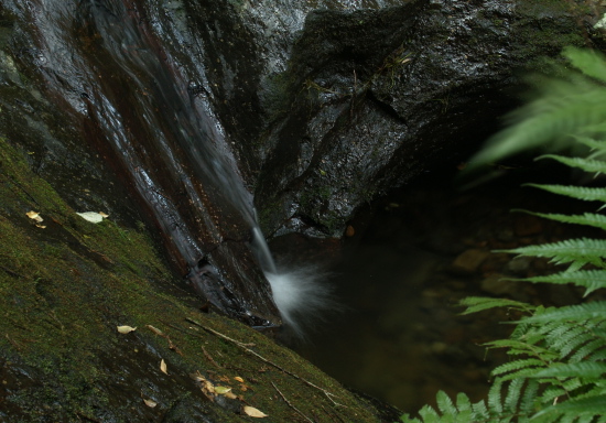 e0089001_2135373.jpg