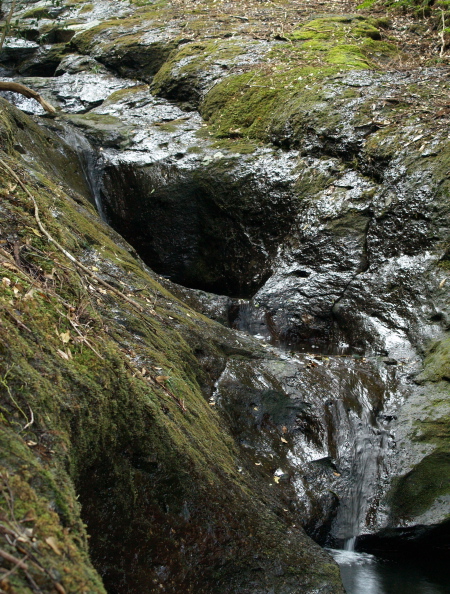 e0089001_2137768.jpg