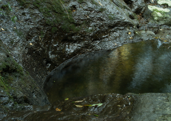 e0089001_21481627.jpg