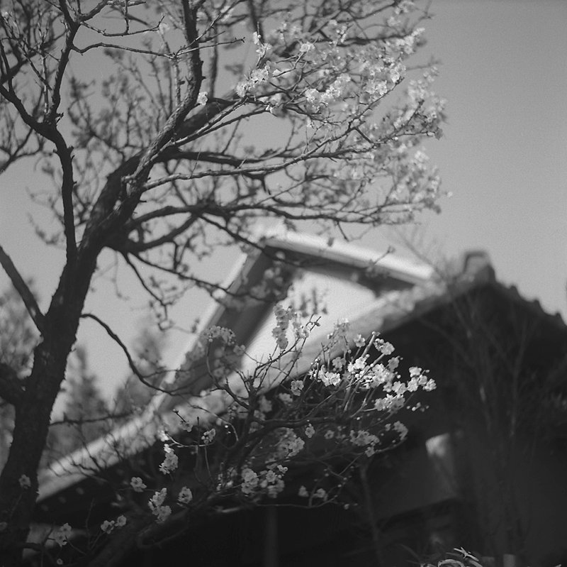 f0109201_10131963.jpg