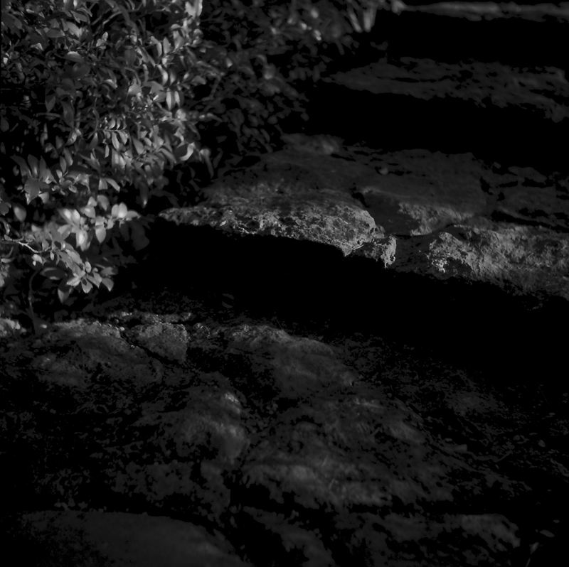 f0109201_10134037.jpg