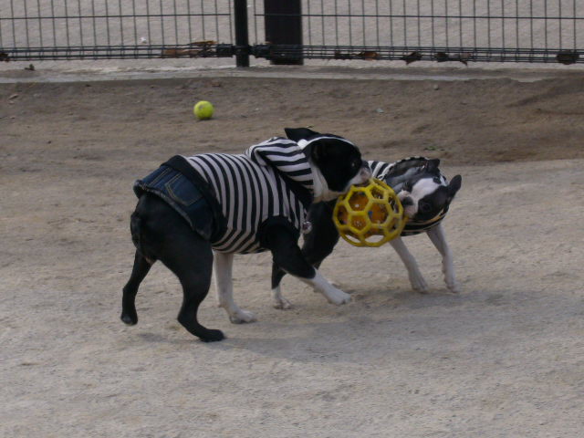 d0070702_21495868.jpg