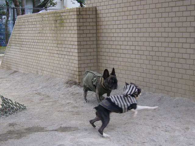 d0070702_2213298.jpg