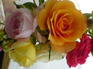 f0052603_16543825.jpg
