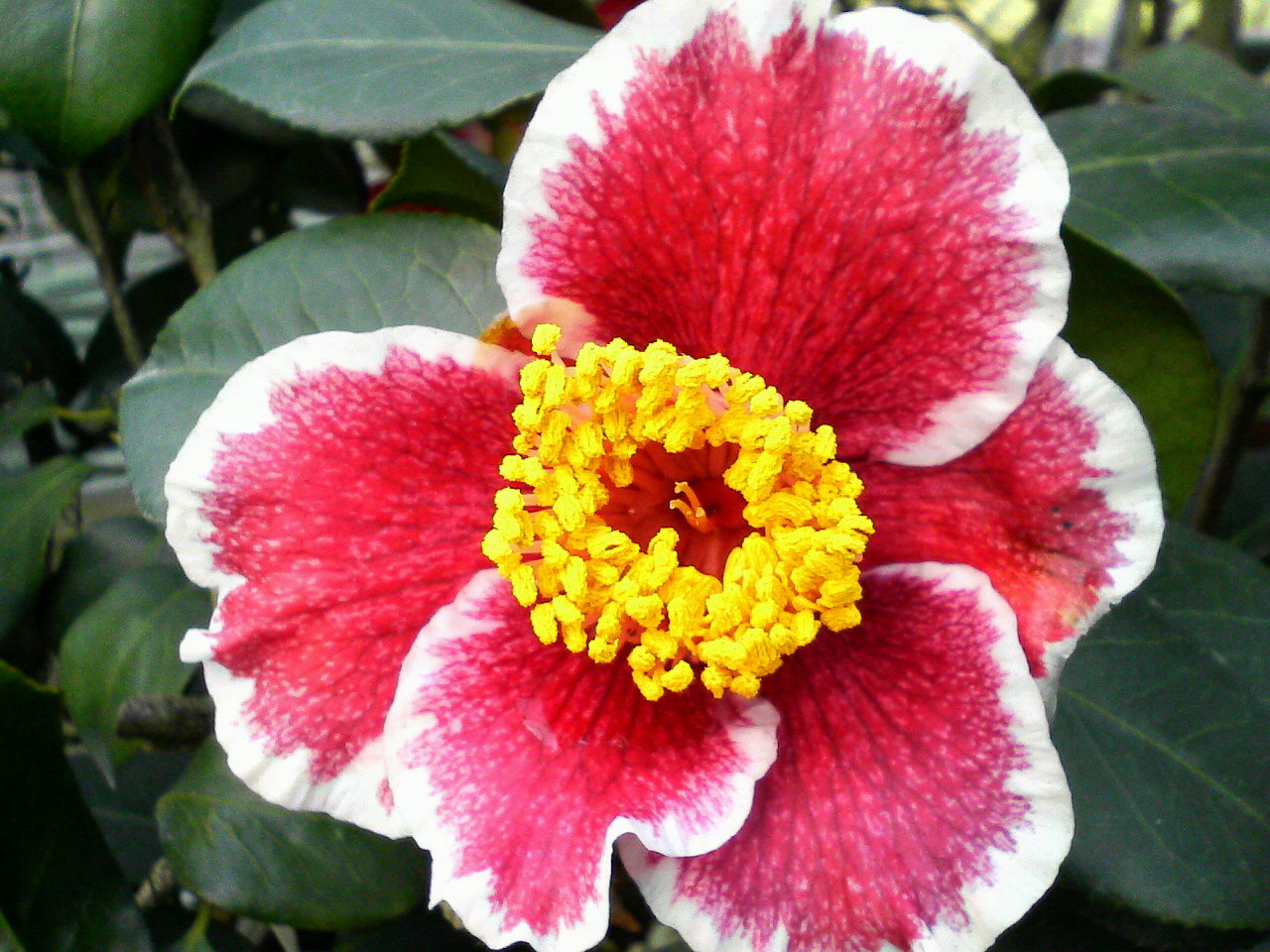 d0000607_017129.jpg