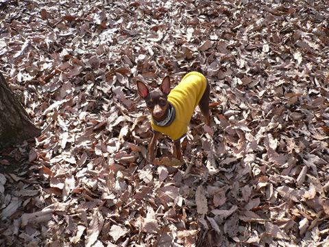 b0105008_1244119.jpg