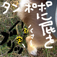 c0036617_1973237.jpg