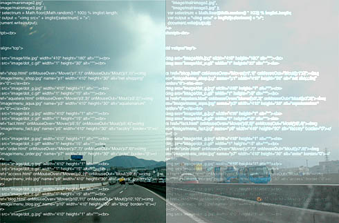 c0066827_1458166.jpg