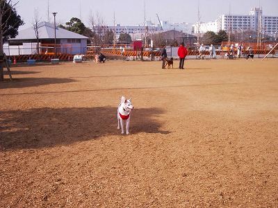 b0006329_0283781.jpg