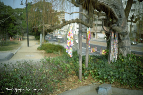 d0036630_1125588.jpg