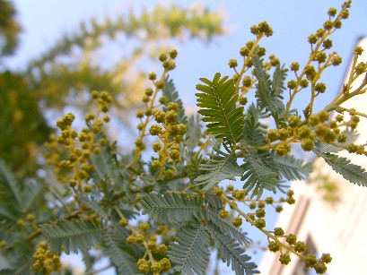 f0002833_0213797.jpg
