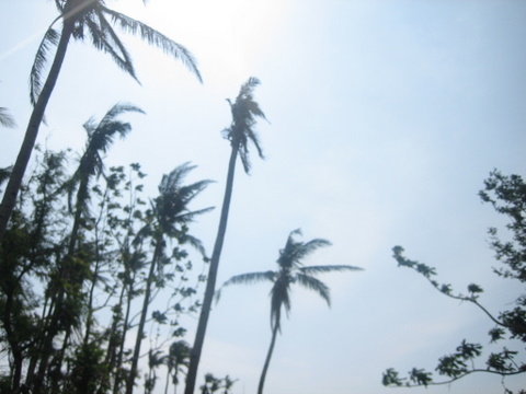e0018143_2274299.jpg