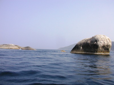 e0027447_1211450.jpg