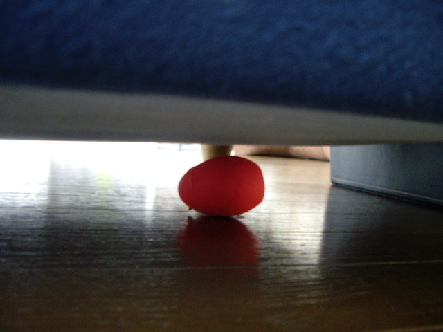 e0098547_215576.jpg