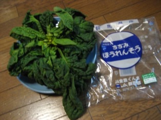 e0028056_2335264.jpg
