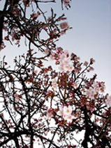 d0029958_11423557.jpg