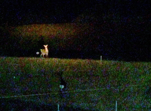 c0076982_973923.jpg