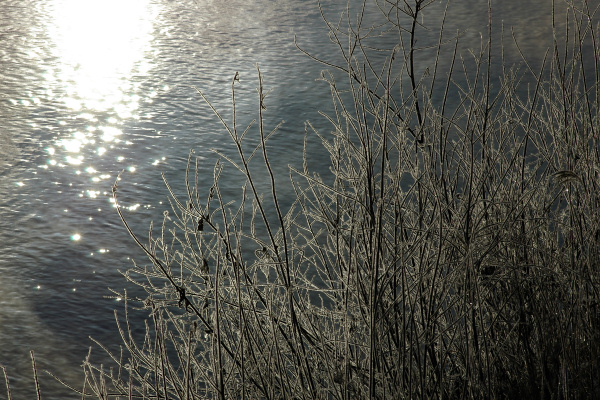 e0051186_2071227.jpg