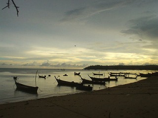 d0098388_1648074.jpg