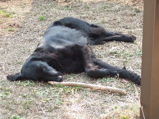 d0070289_17273634.jpg