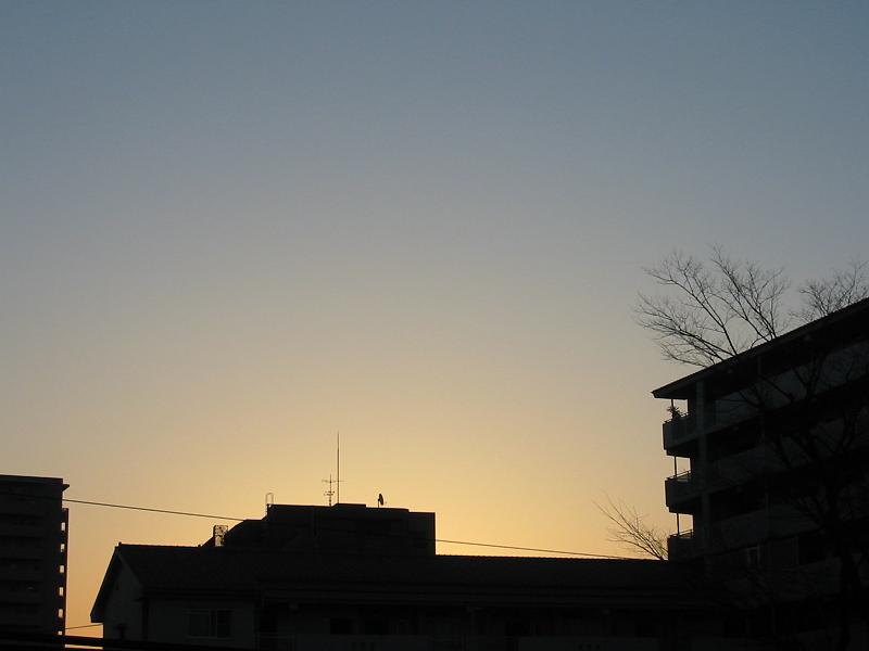 b0089492_1781316.jpg
