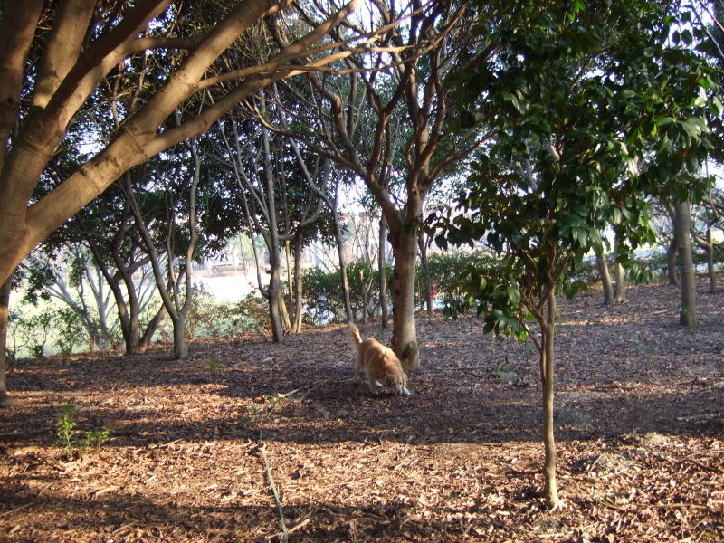 c0104492_0112343.jpg