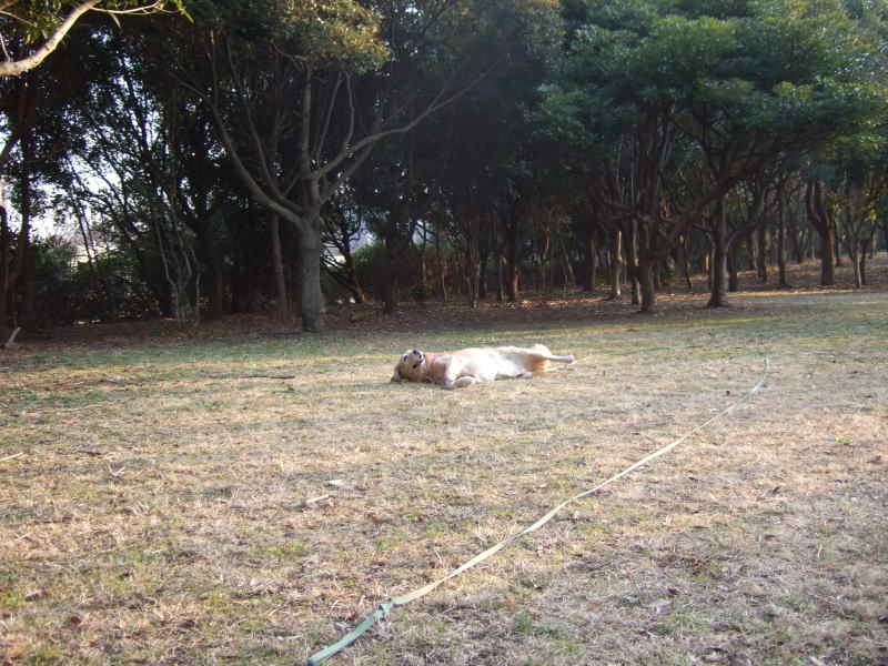 c0104492_0125856.jpg