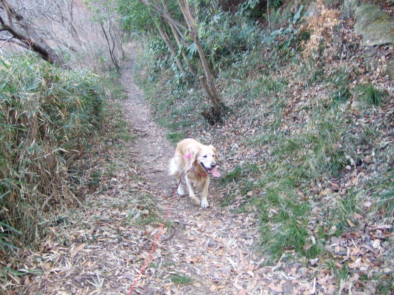 c0104492_0161382.jpg