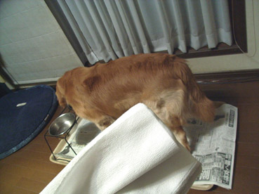 c0096393_0493863.jpg
