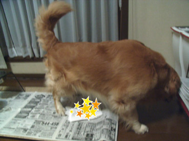 c0096393_052187.jpg