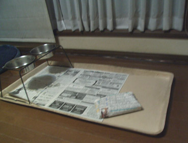 c0096393_0535962.jpg