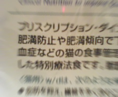 c0035001_21255116.jpg