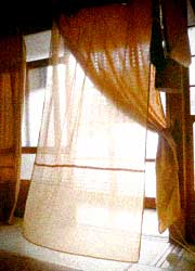 d0077603_1152461.jpg