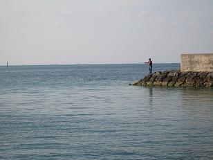 d0078105_10222225.jpg