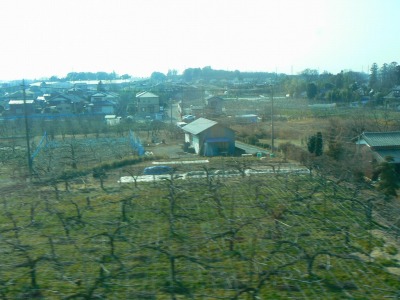 e0075015_3312065.jpg
