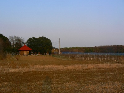 e0075015_3352145.jpg