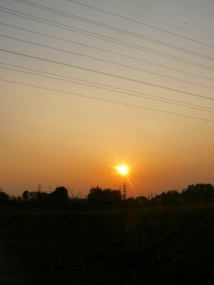 e0075015_338787.jpg