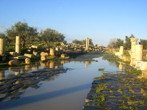 c0112823_0111170.jpg